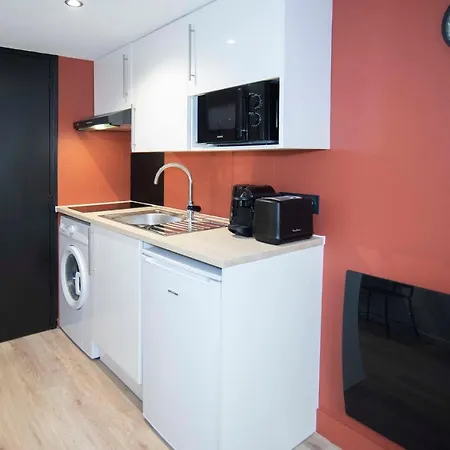 Duplex 22m2 Refurbished For 2 In The Heart Of Lyon
